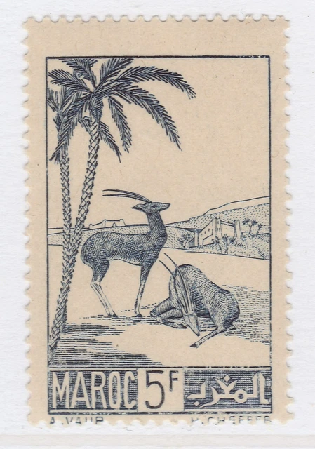 French Colony MOROCCO 1939-42 5fr MNH** Stamp A27P59F26281