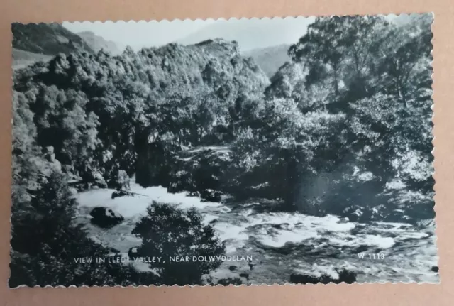 POSTCARD - Real Photograph View In Lledr Valley Near Dolwyddelan Wales Unposted