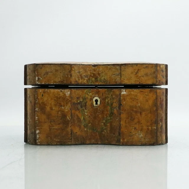 Antique Burl Wood Tea Caddy Late 18th / Early 19th Century hand painted