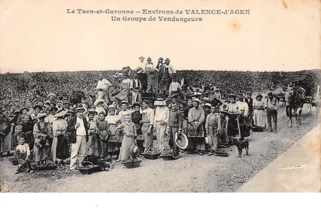 82. n°206133. le tarn et garonne. valence d'agen. un groupe de vendangeurs. a