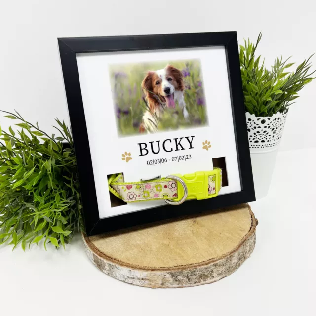 Dog Memorial Photo Frame Pet Memorial Collar Frame