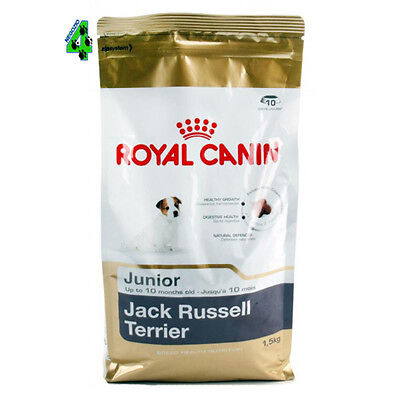 ROYAL CANIN Jack Russel Junior 1,5 kg crocchette alimento per cane cani piccoli