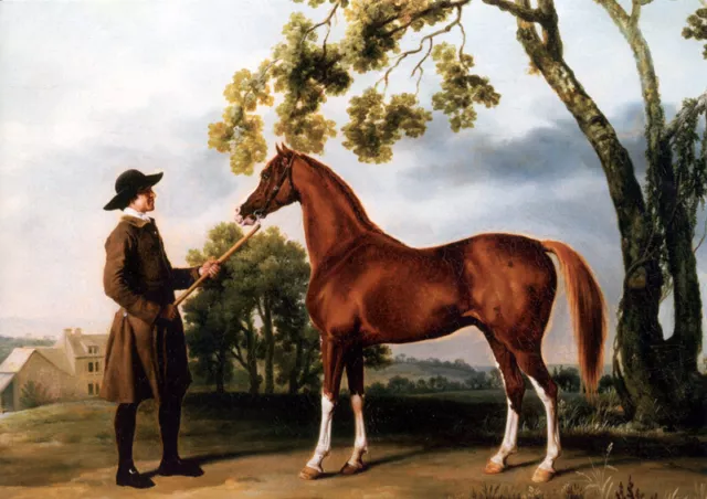 Pferdepfleger mit dem Araberpferd Lord Grosvenor Maler George Stubbs A3 21