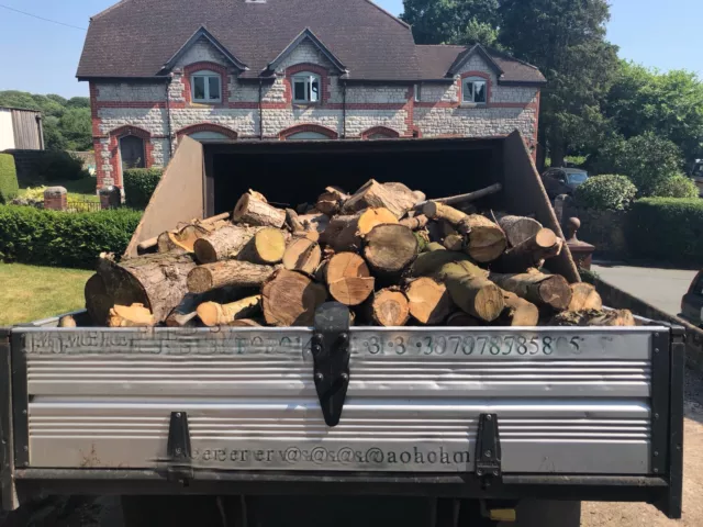 Ash Firewood Logs For Sale