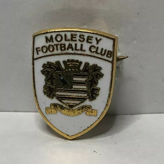 MOLESEY FC Non League Football Clubs