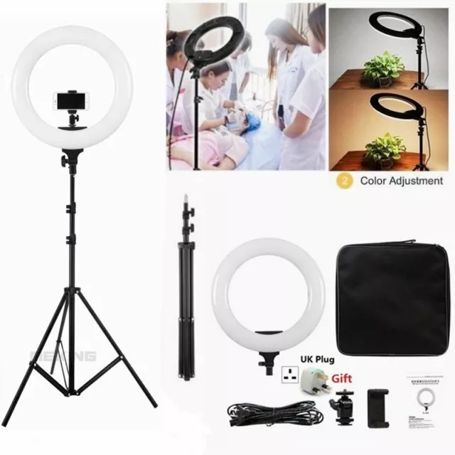 Dimmable 3200-5500K LED Photo 19" Ring Light Tripod Beauty Selfie Video 2m Stand