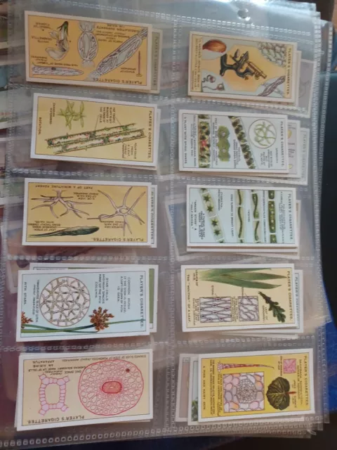 John Player Hidden Beauties Full Set Of 25 Vgc In Sleeves