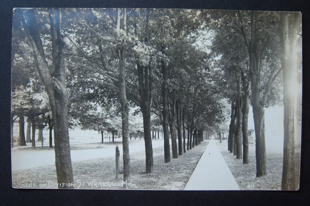 Scene on DIVISION STREET Whitehall, Michigan postcard RPPC, photo circa 1919