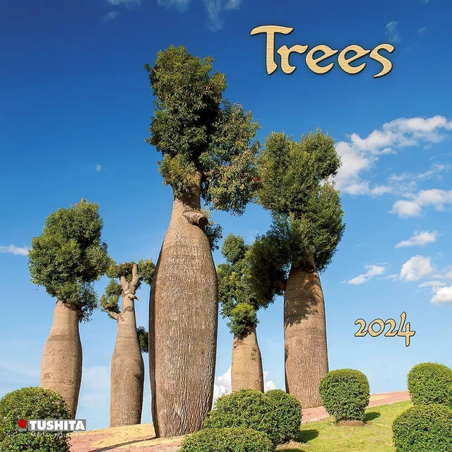 TREES 2024 KALENDER 2024 Kalender Mindful editions 28 S. Englisch 2024