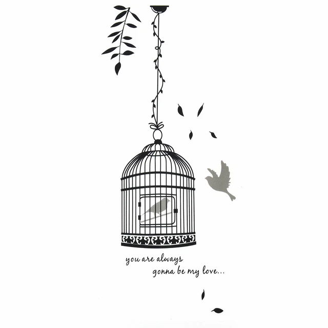 Fenêtre PVC Autocollant Art Mural Motif Cage Oiseaux Papier Peint 70x50cm