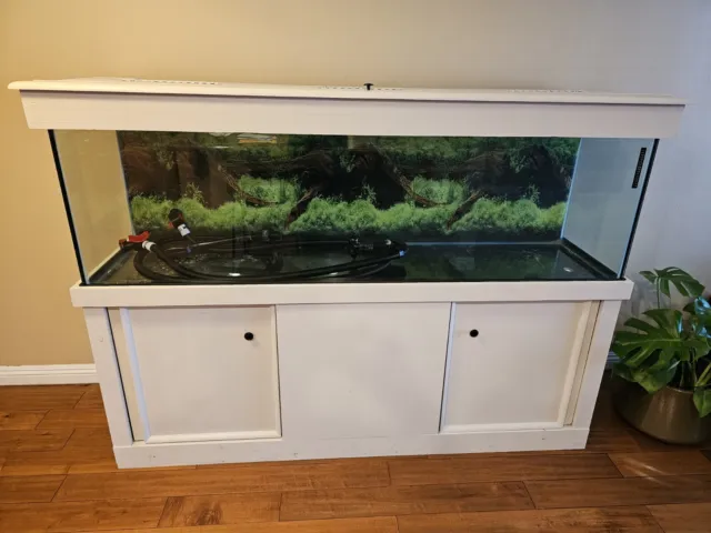 125 Gallon Top Fin Fish Tank Aquarium & Stand with a Fluval Fx4 Canister Filter