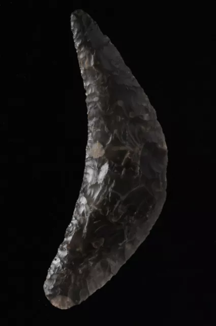 DANISH LUNATE SICKLE, CRESCENT KNIFE, Dagger Period Denmark Artifact Stermer COA