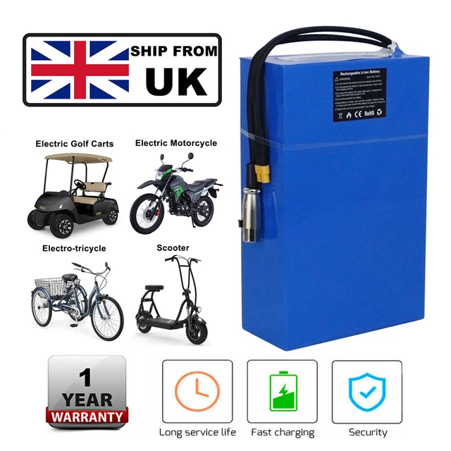 Scooter elettrico 60V 52V 48V 36V Display Motore brushless