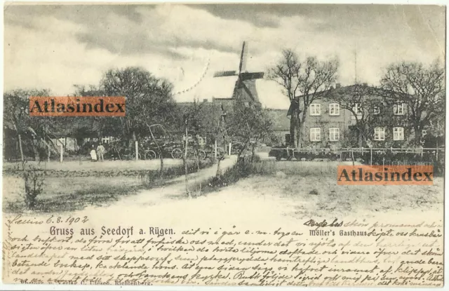 AK Gruss aus Seedorf a. Rügen Möllers Gasthaus mit Windmühle  1902