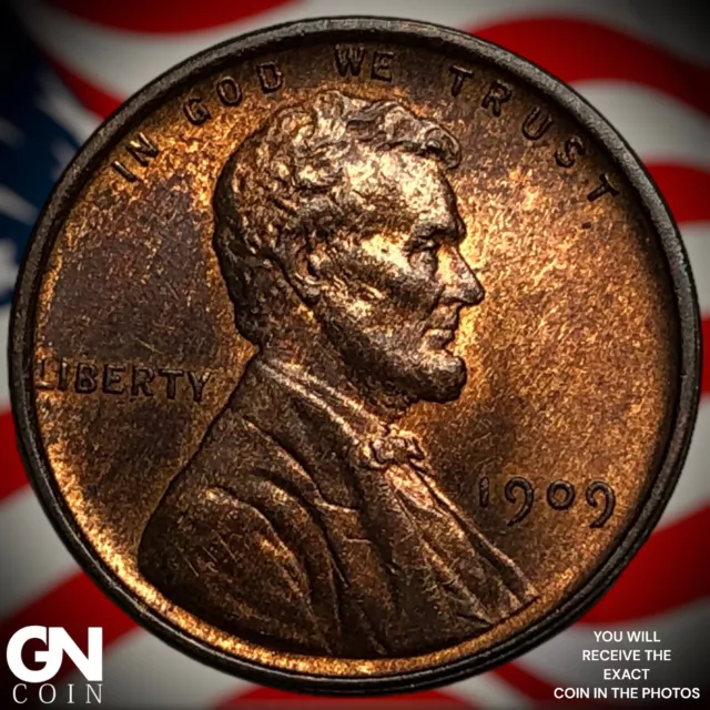 1909 VDB Lincoln Cent Wheat Penny  Q9311