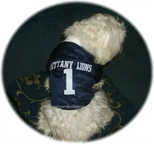 Penn State Nittany Lions PSU Nylon Unisex Dog Jersey Petite Size