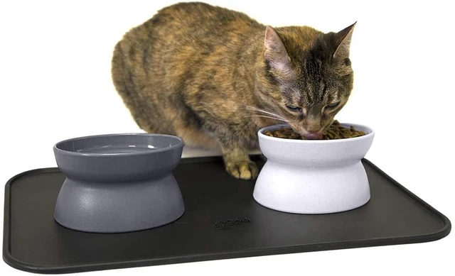 Kitty City Raised Cat Food Bowl Collection_Stress Free Pet Feeder and Waterer