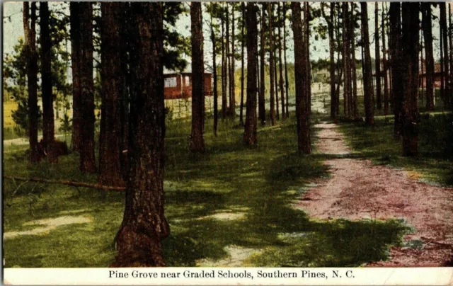 1910. Southern Pines, Nc. Pine Grove Near Schools. Postcard Mm7