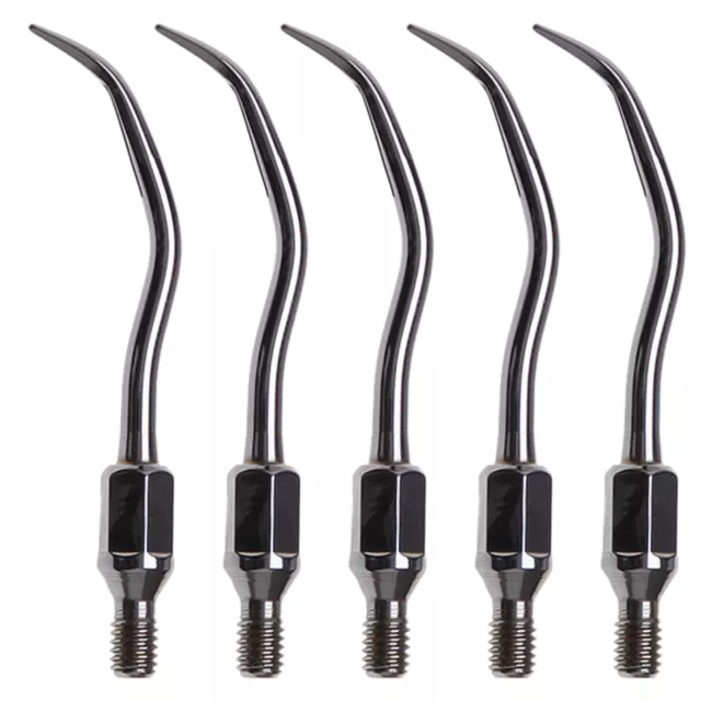 5 ZEG-Spitzen Dental Scaler Tips für SONICflex Air Scaler Handpiece GK1 CE