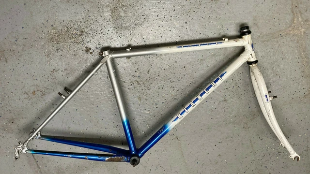 bianchi medium frame size