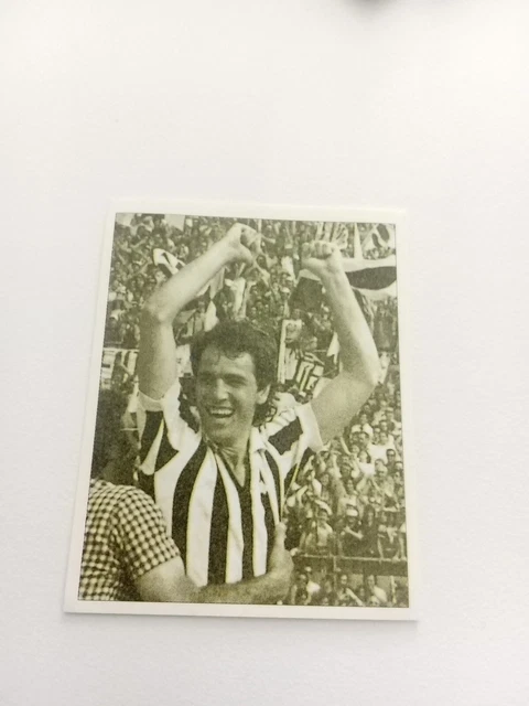Lot 50 Pochettes Bustina Master Edizioni Storia Della Juventus Rare No Lot 50 Pochettes Bustina Master Edizioni Storia Della Juventus Rare No