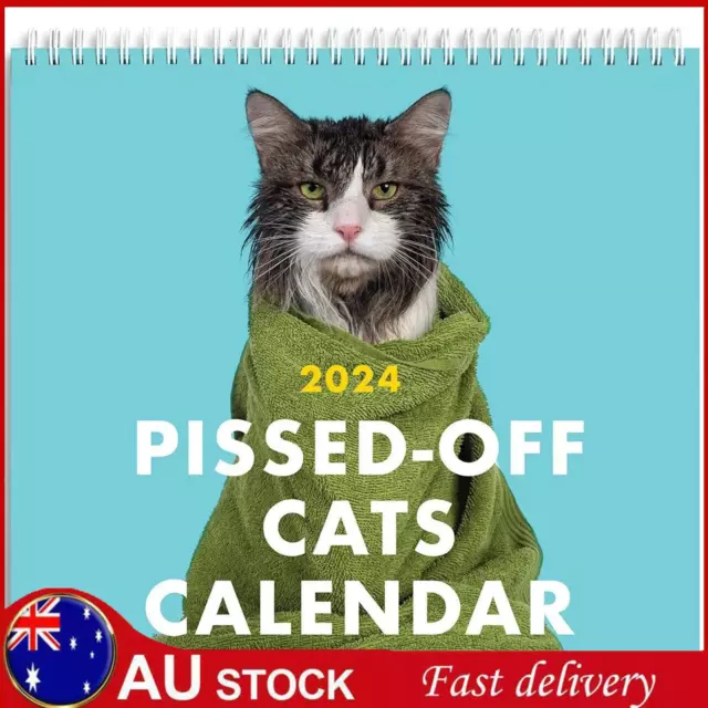 2025 ANGRY CATS Calendar / Funny Cat Wall Calendar Unique Gift for