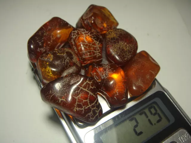 AMBER / raw baltic stones bernstein natural bursztyn POLISHED genuine 琥珀 (e501