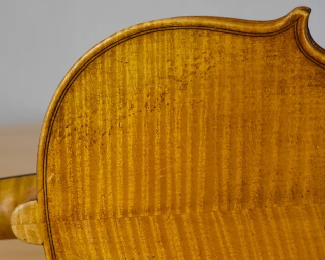 Very old small labelled Vintage violin "Giuseppe Fiorini" fiddle Geige Nr. 1886 Very old small labelled Vintage violin "Giuseppe Fiorini" fiddle Geige Nr. 1886