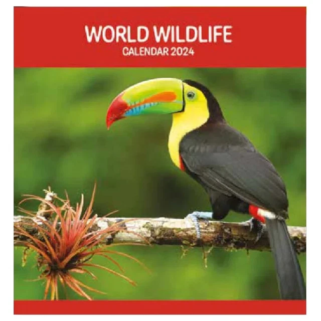 WORLD WILDLIFE 2024 Calendar Large Square Wall Wild Animal Calendar