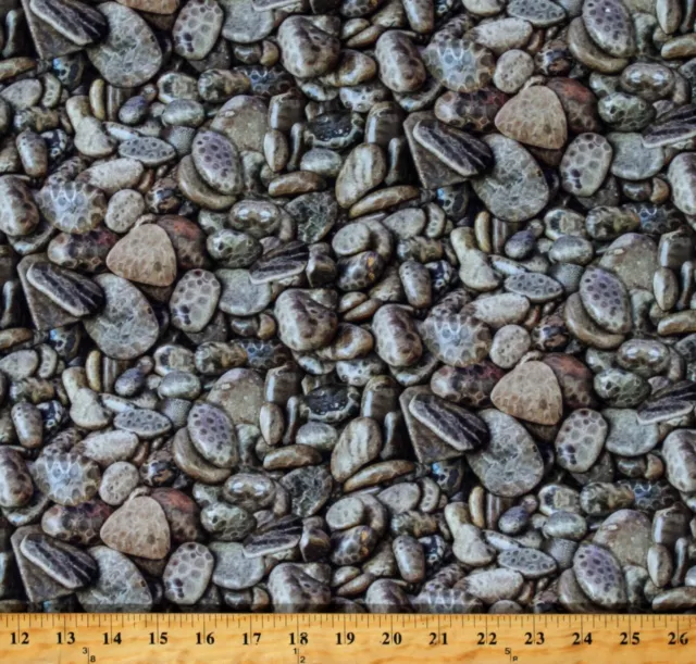 Cotton Michigan Petoskey Stones State Rock Fabric Print by the Yard D409.01