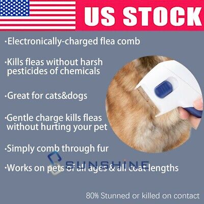 Electric Pet Dog Cat Anti Flea Comb Brush Electric Head Lice Remover & Nail File 3