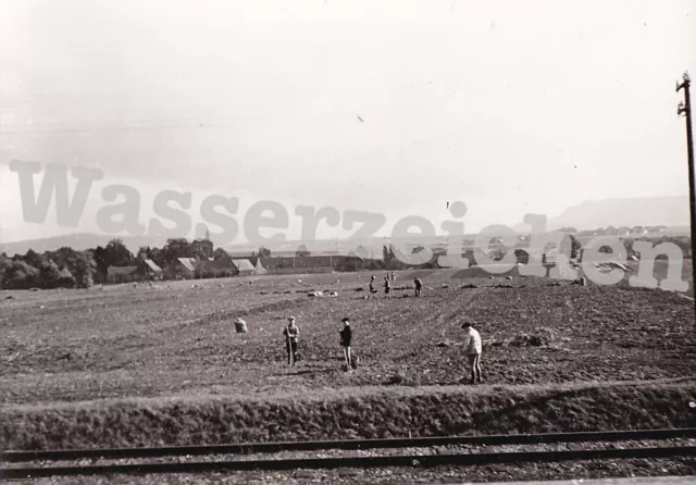 Orig. Foto Wolff&Tritschler Bild aus dem Zug: Arbeiter auf dem Feld (5469)