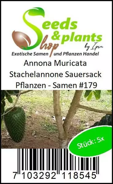 5x Annona Muricata Stachelannone Sauersack Pflanzen - Samen A179 3