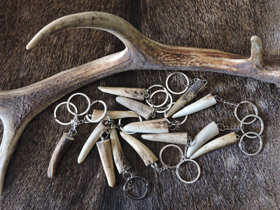 Antler Portachiavi vero CORNO di CERVO regalo caccia trofeo antler deer keychain NUOVO 