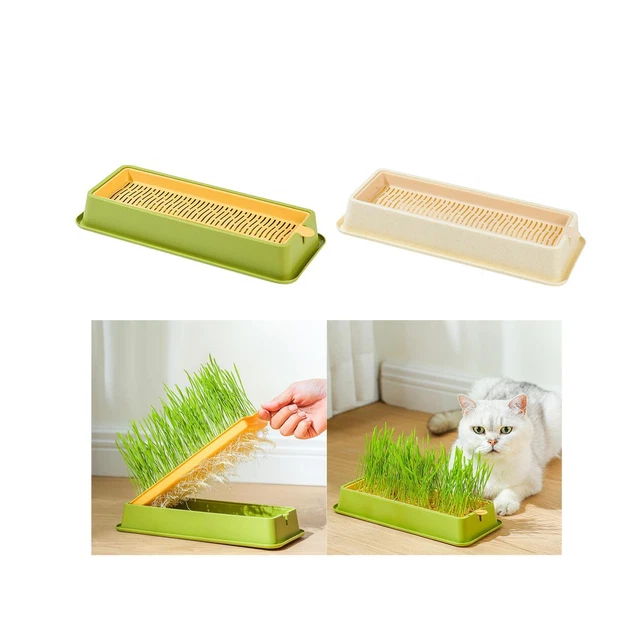 Jardinière - Bac à fleur - Plateau de Germination avec couvercle