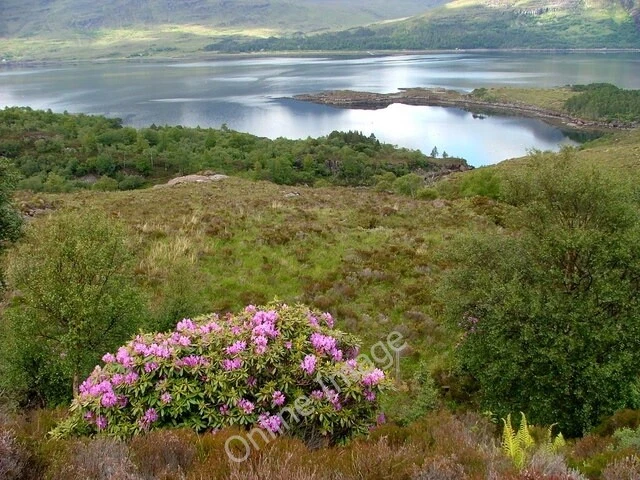 Photo 6x4 Ob Gorm Mu00c3u00b2r Annat/NG8954 On Loch Torridon. c2011