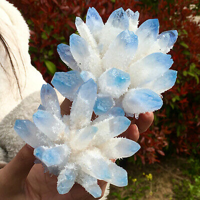 2.19LB New Find sky blue Phantom Quartz Crystal Cluster Mineral SpecimenHea E51