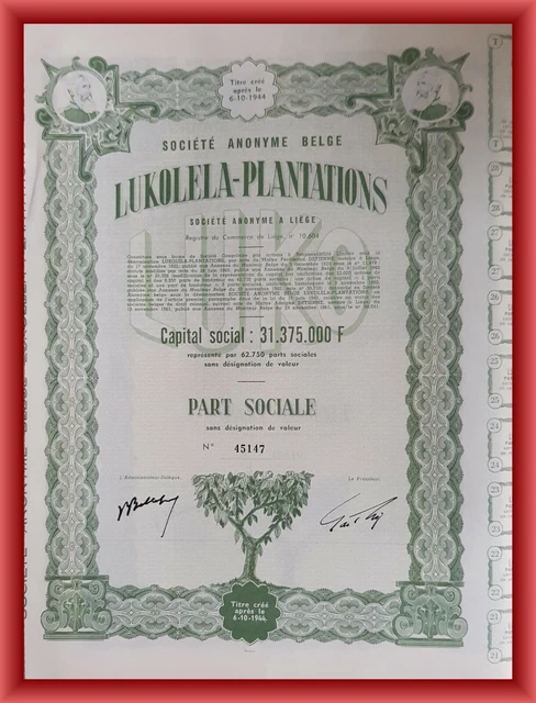 Lukolela Plantations share Congo Belge DECO