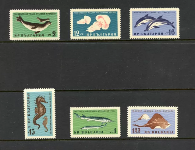 P888 Bulgarie 1961 Poisson Marine 6v. MNH