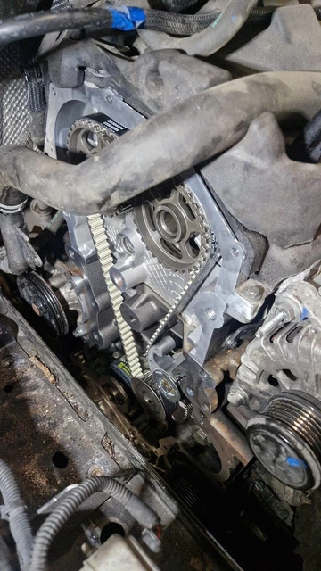 Ford transit timing belt hotsell