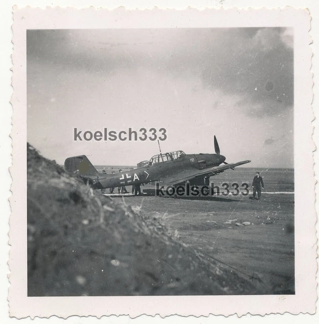 FOTO JUNKERS JU 87 Stuka Flugzeug der Luftwaffe mit Staffel Wappen ...