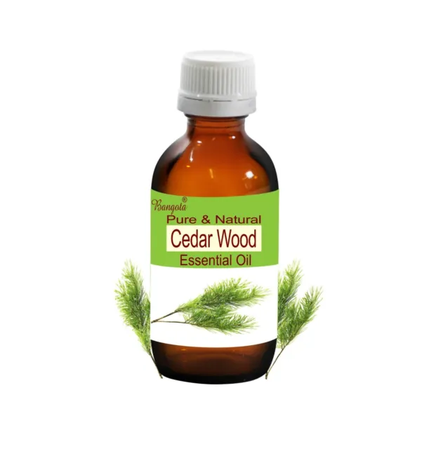 Cedar Wood (Cedrus deodara) Pure & Natural Essential Oil 100 ml by Bangota