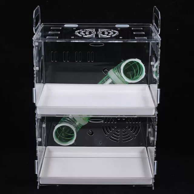 Hamster House Acrylic For Hedgehog Guinea Pig Inhabit Transparent Cage 2-Tiers