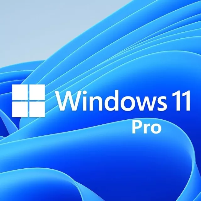 Microsoft Windows 11 Pro 64-Bit Sistema Operativo