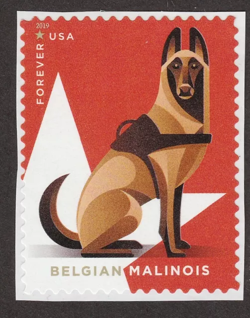 BELGIAN MALINOIS ** Int'l Dog Postage Stamp Art ** Great Gift Idea