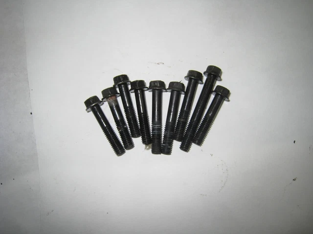 85 SUZUKI LT250E LT250 Stator Abdeckung Schrauben