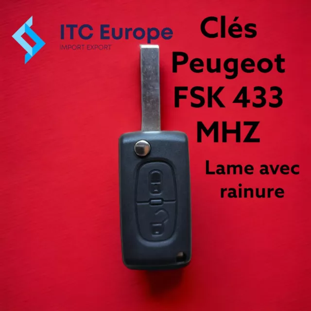 Clé Vierge CE0536 FSK et CE0523 FSK PArtner Berlingo + 2009 VA2