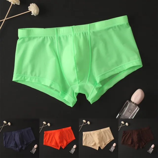 SEXY MENS SHEER See Through Boxer Briefs Underwear Mesh Shorts Trunks ...