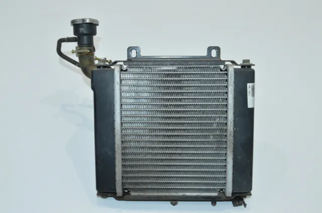 Kymco Yager Gt 125 Kühler Wasserkühler Ventilator Kühlsystem Water Cooler