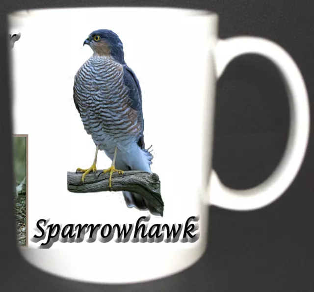 Sparrowhawk British Bird Mug Limited Edition Christmas Gift Bird Of Prey Hawk